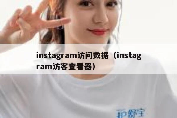 instagram访问数据（instagram访客查看器） 第1张