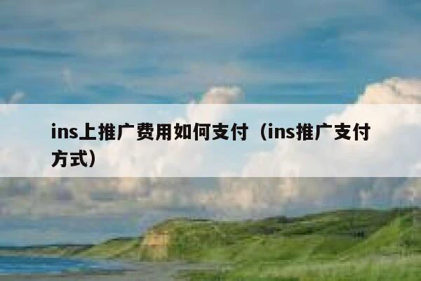 ins上推广费用如何支付（ins推广支付方式） 第1张