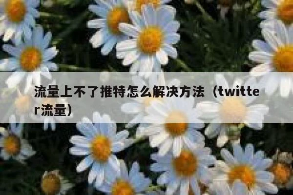 流量上不了推特怎么解决方法（twitter流量） 第1张