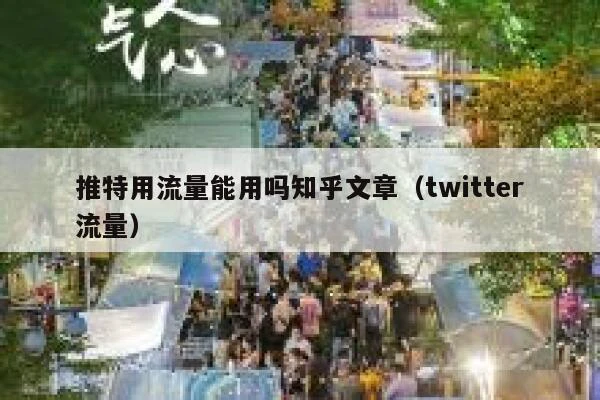 推特用流量能用吗知乎文章（twitter流量） 第1张