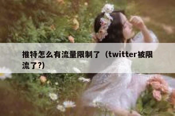 推特怎么有流量限制了（twitter被限流了?） 第1张