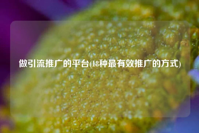 做引流推广的平台(18种最有效推广的方式)