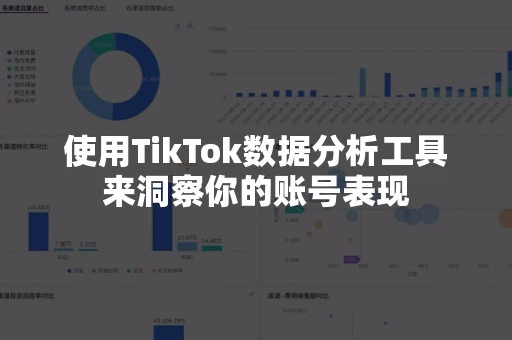 使用TikTok数据分析工具来洞察你的账号表现