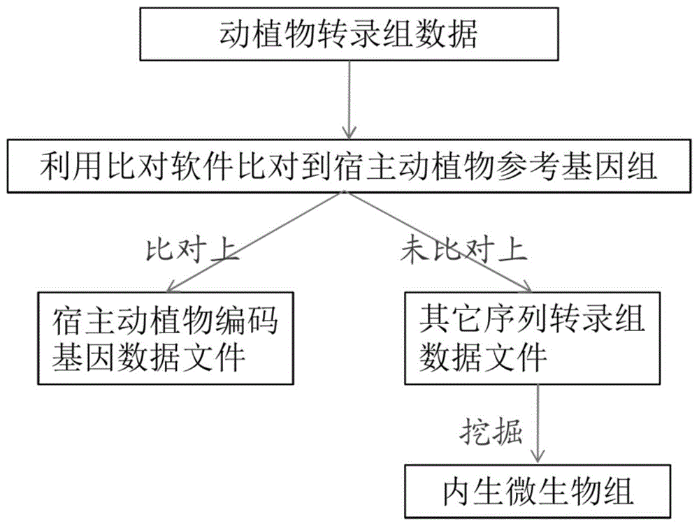 从动植物转录组数据中挖掘内生微生物组信息的方法