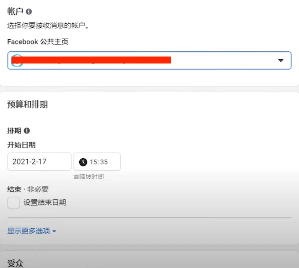 设置公共主页和广告投放时间