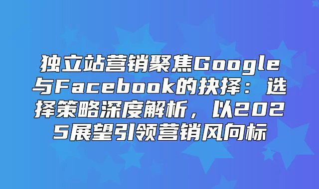 独立站营销聚焦Google与Facebook的抉择：选择策略深度解析，以2025展望引领营销风向标