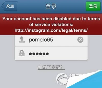 instagram被禁用怎么办？instagram被封/屏蔽解决方法1