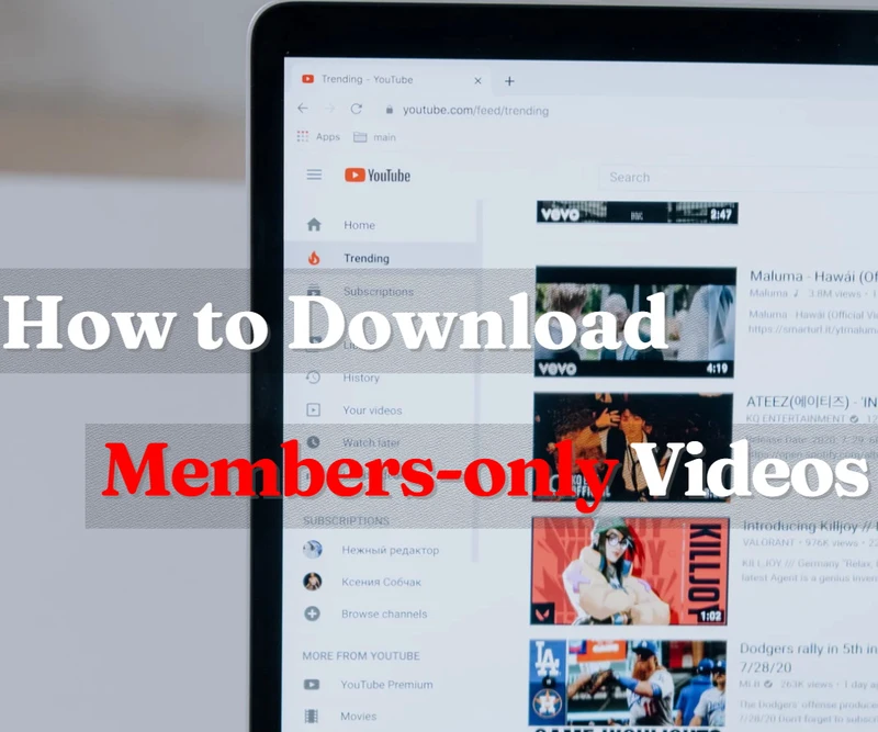 下载 YouTube 会员专属视频